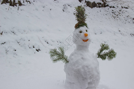 突然下大雪一个滑稽的图片