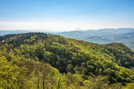 塞尔维亚森林山脉景观图片
