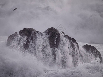 被暴风海击中的波尔德湾图片