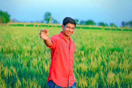 麦田的年轻印地安农夫图片