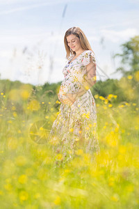 美丽的快乐孕妇的画像背景图片