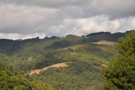 加利西亚雄伟的山脉充满山谷松树林草甸和桉树森林在Rebedul2013年8月3日Rebedul图片