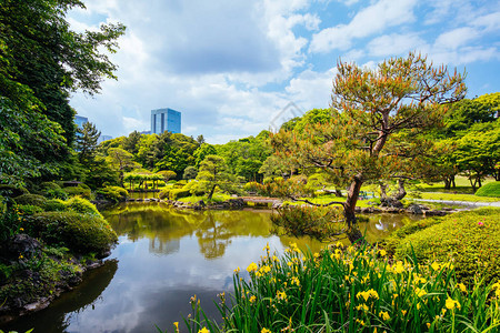 ShinjukuGyoen是日本东京新宿和涉谷的一个大图片