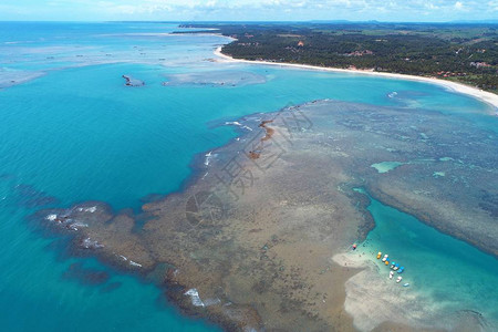 Paradisiac海滩与水晶巴西加勒比海所以米格尔杜斯米拉格雷斯图片