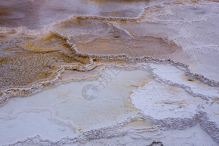 观察黄石公园Mammoth温泉的梯田矿藏图片