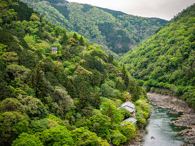 在日本京都的林山Arash图片