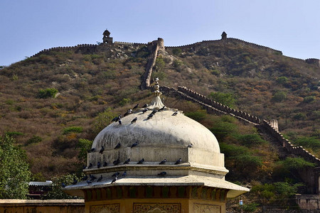 印度拉贾斯坦邦斋浦尔市附近安珀堡垒墙和塔楼周围的白圆鸽子和望向图片