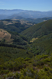 加利西亚雄伟的山脉充满山谷松树林草甸和桉树森林在Rebedul2013年8月3日Rebedul图片