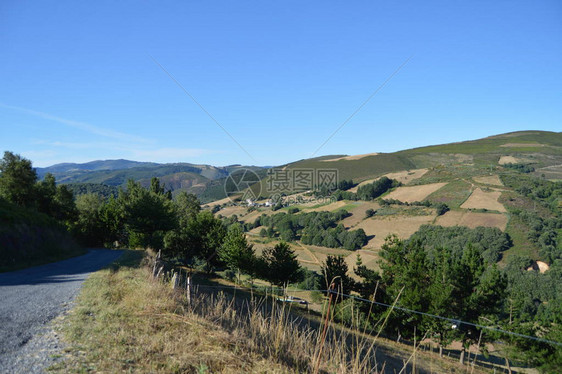 加利西亚山旁的道路填充山谷松树草甸和Rebedul桉树森林的森林2013年8月3日Rebedul图片