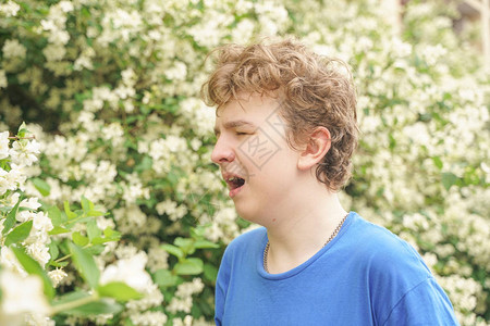 身着蓝色T恤的过敏青少年站在茉莉花灌丛中图片
