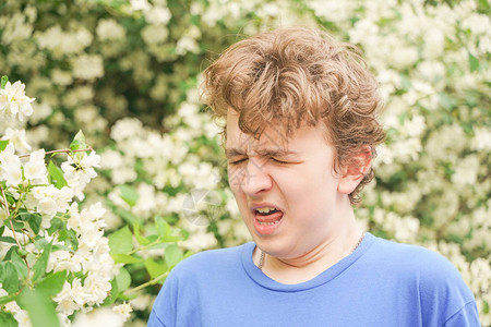 身着蓝色T恤的过敏青少年站在茉莉花灌丛中图片
