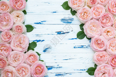 框架由粉红色的玫瑰与老年蓝色木制背景上的叶子制成图片