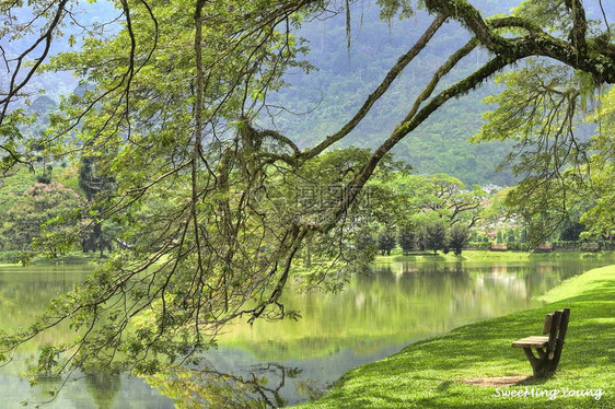 湖花园红叶风光图片