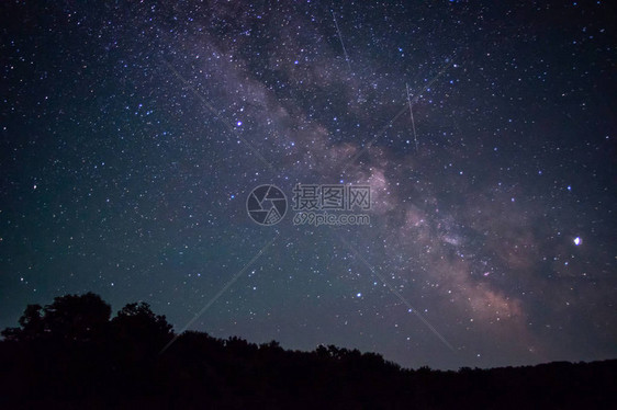 夏日夜晚树上的星空图片