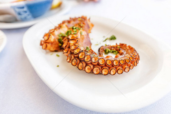 美味的烤章鱼放在白盘上海鲜美食与图片