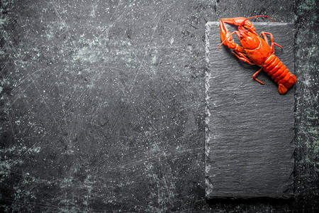 一只龙虾背景图片