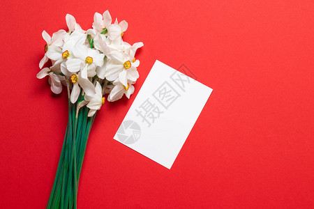 新鲜的白色水仙花与白色样机A5纸在红色背景上为妇女妈和图片