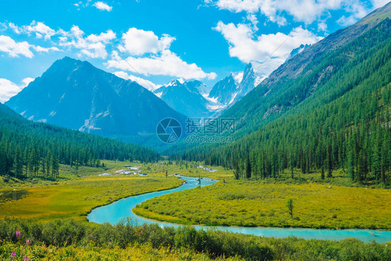 美丽的冰川前山谷中的蛇形河雪山后的岩石与针叶林巨大的白雪皑的山顶上的巨大云彩在蓝天下高原自图片