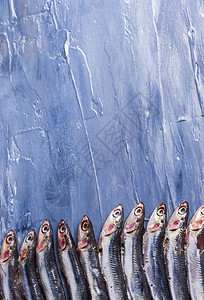 鱼类形态蓝海影响背景上新鲜的鱼类特图片