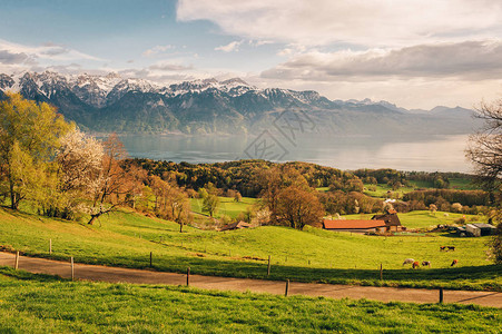 瑞士日内瓦湖风景最佳阳背景图片