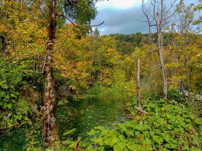 秋天的森林里有绿松石水的湖文化图片