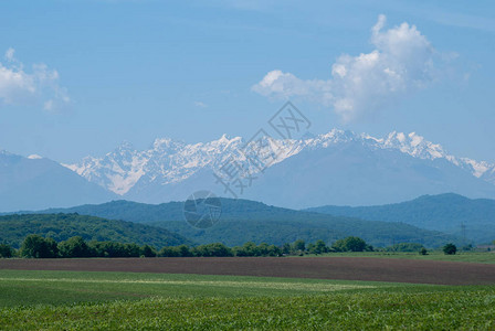 山景高加索山峰背景的绿色草甸图片