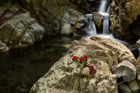 大苏尔石灰窑州立公园的一个瀑布图片