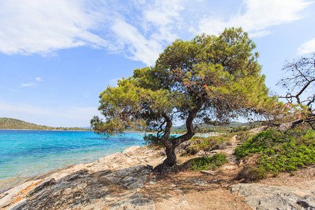 Halkidiki海岸的夏季自然景观和美丽的海景图片