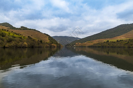 葡萄牙杜罗河和山谷的风景优美的梯田葡萄园图片