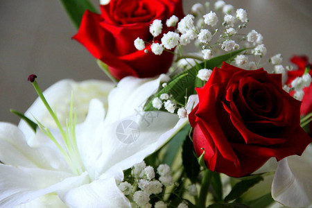 与红玫瑰的白色花束图片