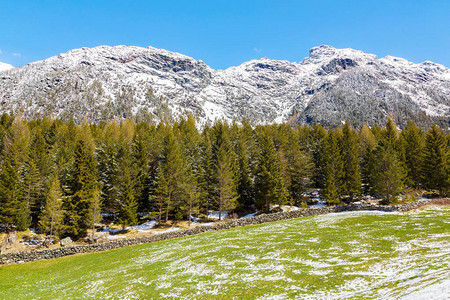 山岳的泉雪图片