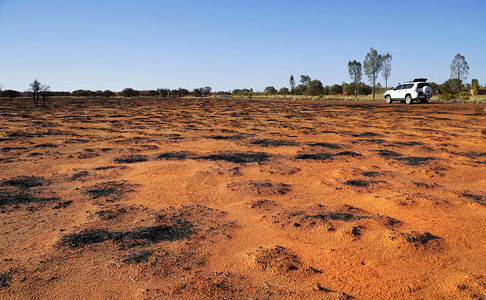 丛林大火后澳大利亚中部荒芜土地背景图片