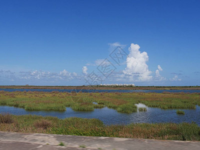 在德克萨斯州Galveston岛高速公路附近的沼泽地区图片