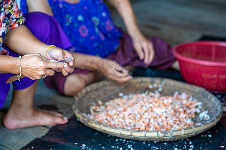 渔女正在准备卖虾米图片