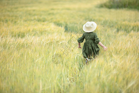 快乐的女孩走在金色的麦田里图片