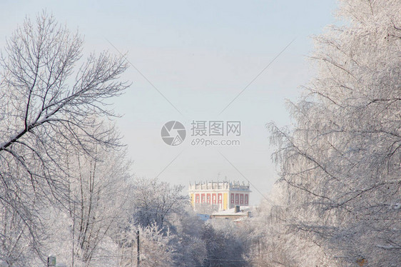 在一个小镇的白雪小街上冬天树图片