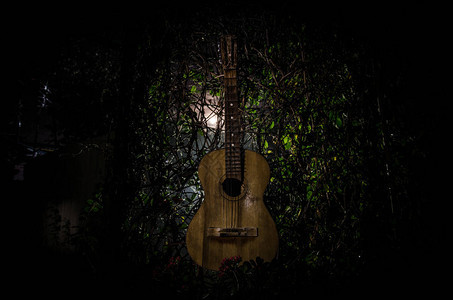 夜间木制音响吉他图片