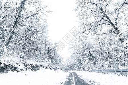冬林雪道林道冬雪观图片