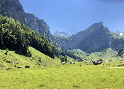 阿尔卑斯山牧场谷Alpsee位于Alpstein山脉和Appenzellerland地区瑞士内阿彭策尔图片