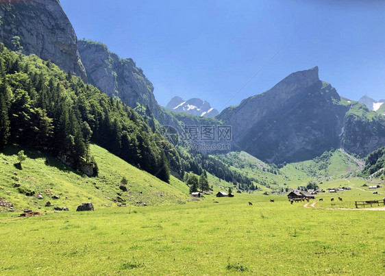 阿尔卑斯山牧场谷Alpsee位于Alpstein山脉和Appenzellerland地区瑞士内阿彭策尔图片