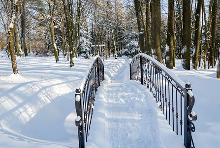 在冬季雪林美丽的冬天风景中横跨溪图片