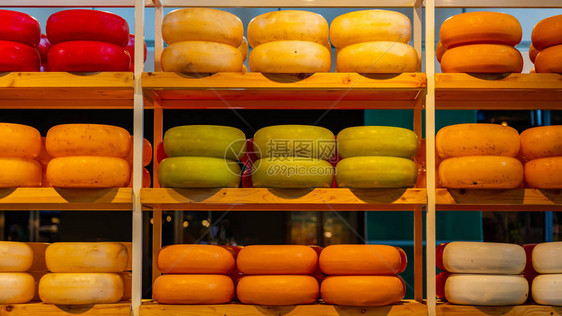 荷兰奶酪edamgouda木架子上的整轮子荷兰鹿特丹的奶酪店图片