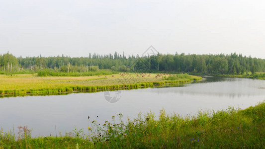 许多干草堆站在雅库特北部野生苔原的湖泊附近的一片绿草地上图片