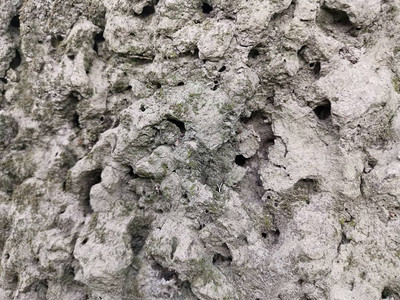 蚁模山面泥质地背景图片