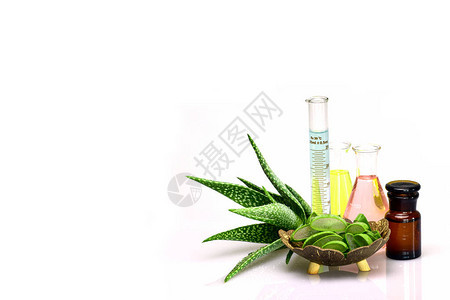 vera凝胶基本油植物提取和维他命面部皮肤和毛发防排麻片治疗秘方图片