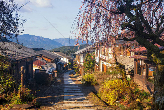 清晨在日本吉夫县中川的Kiso山谷图片