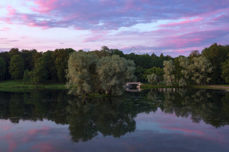 公园湖边的紫色日图片
