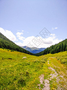 Tusheti公园风景如画的照片野生的地方旅行风景秀丽的高加索山脉景观格鲁吉亚旅游夏季景观大高加索自然乔治图片