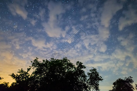 夜自然本底夜满天星斗的天空和树剪影图片