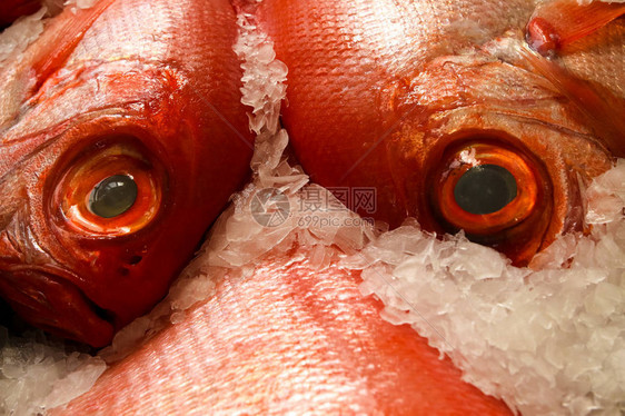 芬恰尔鱼市场中新鲜的光鲜花生蛋图片